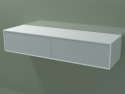 Double drawer (8AUEAA02, Glacier White C01, HPL P03, L 120, P 36, H 24 cm)