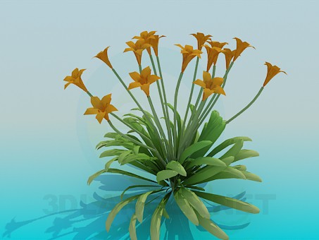 modelo 3D Flores - escuchar modelo 3D Flores - escuchar