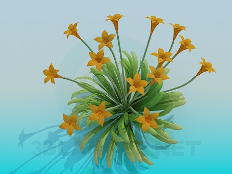 modelo 3D Flores - escuchar modelo 3D Flores - escuchar