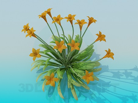 modelo 3D Flores - escuchar modelo 3D Flores - escuchar