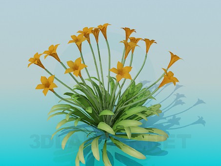 modelo 3D Flores - escuchar modelo 3D Flores - escuchar