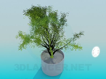 3d model Pot - preview 3d model Pot - preview