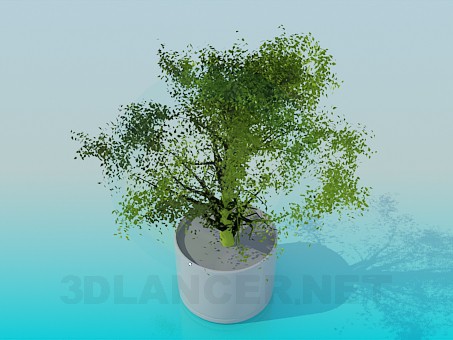 3d model Pot - preview 3d model Pot - preview