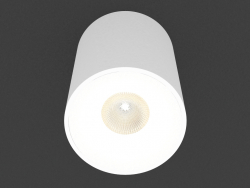 Накладной потолочный светодиодный светильник (DL18612_01WW-R White)