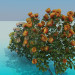 3d model Rose bushes - preview