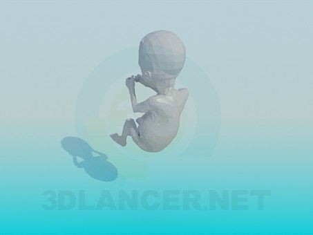 modelo 3D Embrión - escuchar modelo 3D Embrión - escuchar