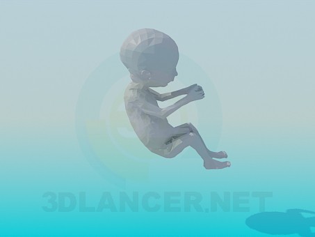 modelo 3D Embrión - escuchar modelo 3D Embrión - escuchar