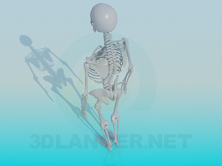 3d модель Скелет человека – превью 3d модель Скелет человека – превью