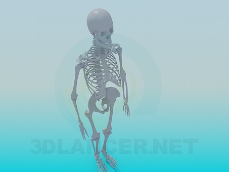 3d модель Скелет человека – превью 3d модель Скелет человека – превью