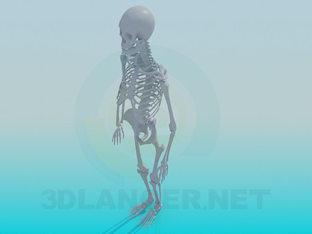 3d модель Скелет человека – превью 3d модель Скелет человека – превью