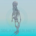 3d model Human skeleton - preview