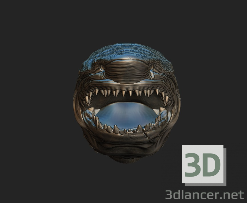 modello 3D di Squalo comprare - rendering