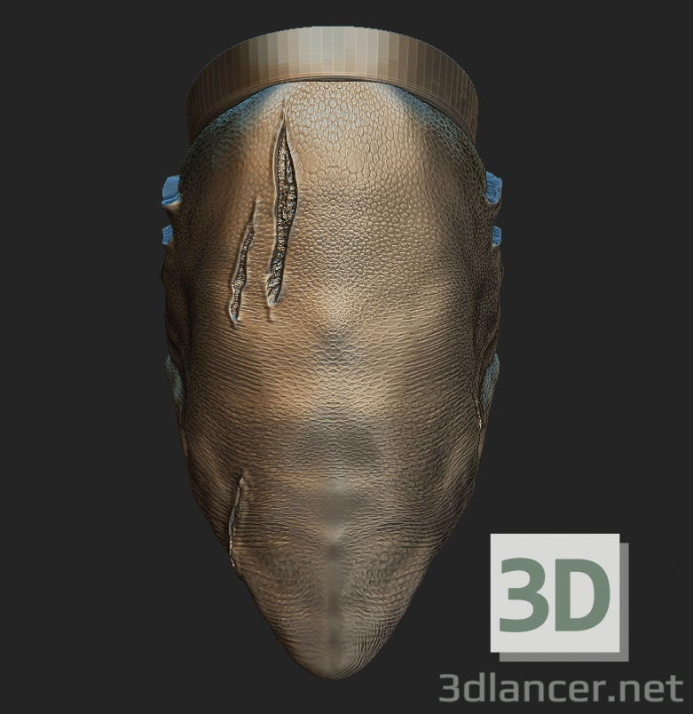 modèle 3D de Requin acheter - rendu