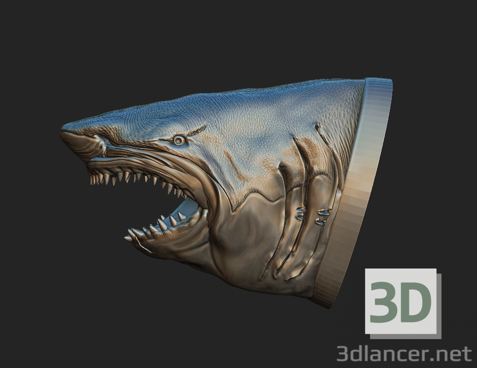 3d Shark model buy - render