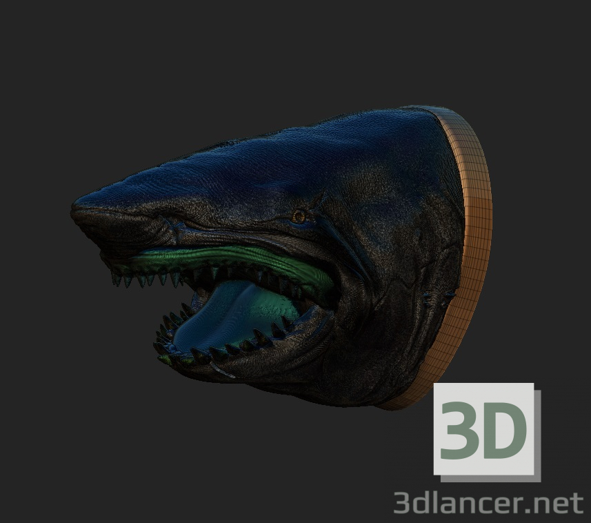 modello 3D di Squalo comprare - rendering