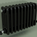 3D Modell Kühler TESI 4 (H 300 10EL, Schwarz - RAL 9005) - Vorschau