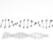 La molécula de ADN