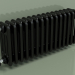 modèle 3D Radiateur TESI 4 (H 300 15EL, Noir - RAL 9005) - preview