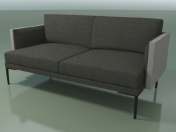 Double sofa 5231 (two-tone upholstery)