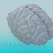 3 डी मॉडल मानव मस्तिष्क - पूर्वावलोकन
