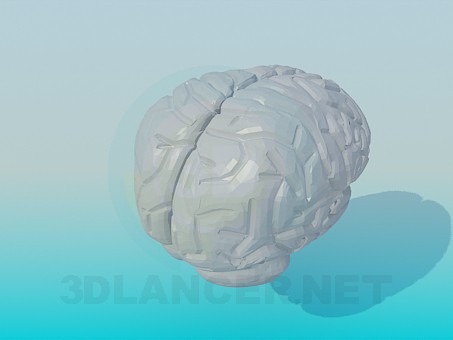 modelo 3D El cerebro humano - escuchar modelo 3D El cerebro humano - escuchar