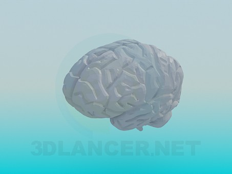 modelo 3D El cerebro humano - escuchar modelo 3D El cerebro humano - escuchar