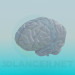 3 डी मॉडल मानव मस्तिष्क - पूर्वावलोकन