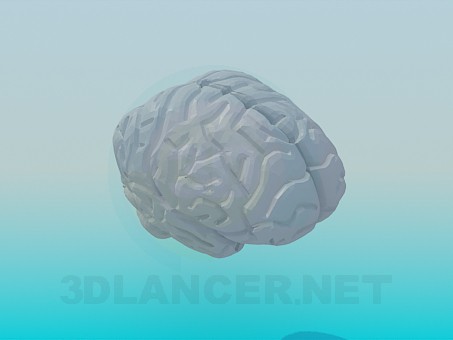 modelo 3D El cerebro humano - escuchar modelo 3D El cerebro humano - escuchar