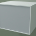 modèle 3D Boîte (8AUABA01, Blanc Glacier C01, HPL P03, L 48, P 36, H 36 cm) - preview