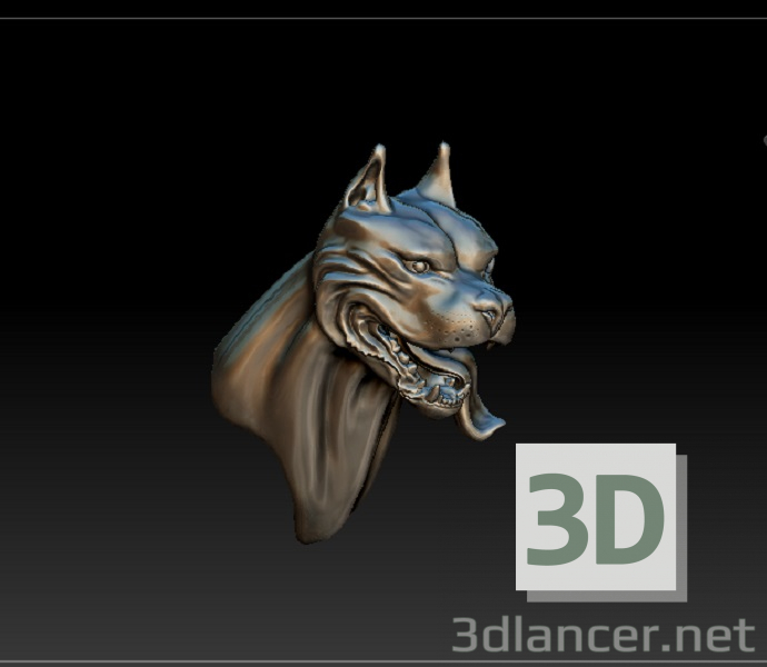 modello 3D di pitbull comprare - rendering