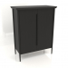 3d model Cabinet MS 04 (1114x565x1400, wood black) - preview