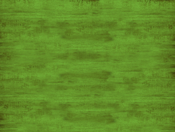 Madeira pintada áspera (verde)