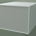 modèle 3D Boîte (8AUABB01, Glacier White C01, HPL P02, L 48, P 50, H 36 cm) - preview