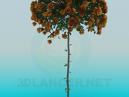 modelo 3D Árbol de rosas - escuchar modelo 3D Árbol de rosas - escuchar