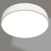 3D Modell Lampe SP-TOR-PILL-R600-50W Day4000 (WH, 120 °)(022130(2)) - Vorschau