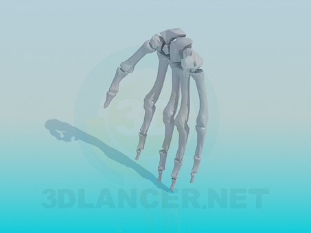 3d model The bones of the human hand - preview 3d model The bones of the human hand - preview