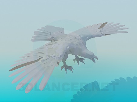 modelo 3D Águila del vuelo - escuchar modelo 3D Águila del vuelo - escuchar