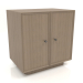 3d model Cabinet TM 15 (602x406x622, wood grey) - preview