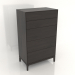 3D Modell Kommode FARGO 750x450x1250 mm (Wenge-Eiche) - Vorschau