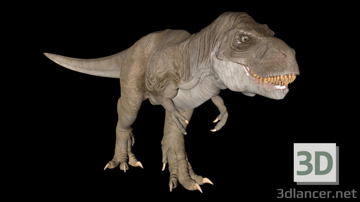 modello 3D Tirannosauro Rex - anteprima