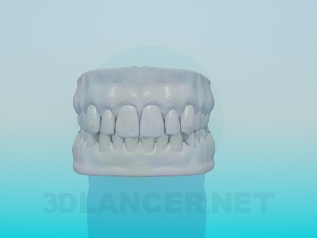 3d model Model of human teeth - preview 3d model Model of human teeth - preview