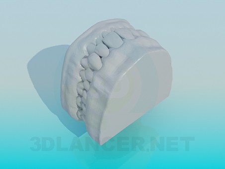 3d model Model of human teeth - preview 3d model Model of human teeth - preview