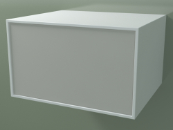 Box (8AUÂВ01, Gletscherweiß C01, HPL P02, L 60, P 50, H 36 cm)