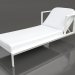 3d model Chaise longue with raised headrest (Agate gray) - preview