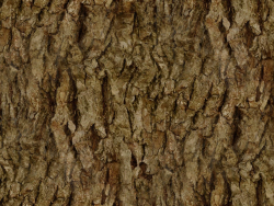 Corteza de árbol (grande)