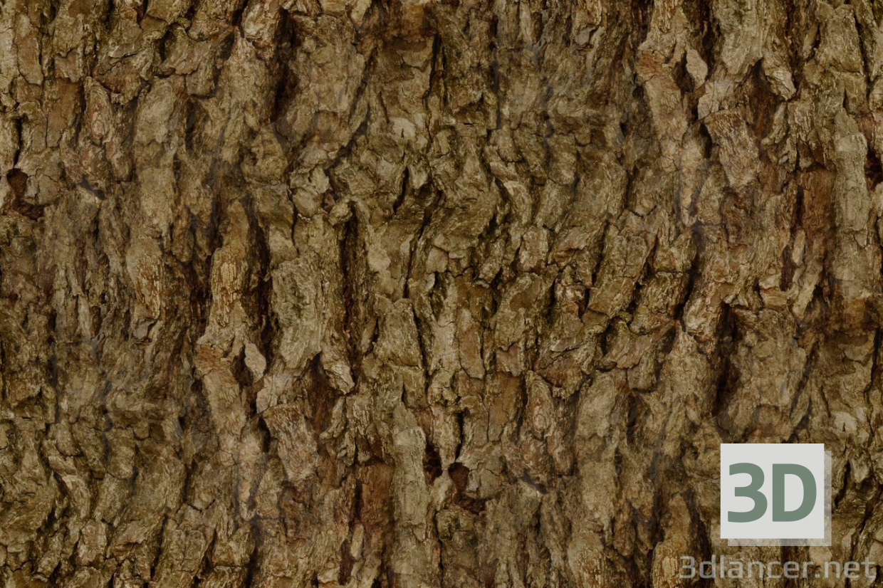 बनावट पेड़ की छाल (बड़ा) मुफ्त डाउनलोड - छवि