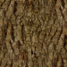 Текстура Кора дерева (крупная) скачать бесплатно - изображение