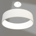 3d model Lamp SP-TOR-RING-HANG-R460-33W Day4000 (WH, 120 °) - preview