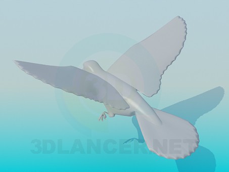 3d model Flying Pigeon - preview 3d model Flying Pigeon - preview
