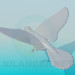 3D Modell Fliegende Taube - Vorschau
